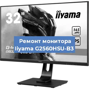 Замена матрицы на мониторе Iiyama G2560HSU-B3 в Новосибирске